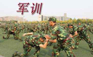 高速軍訓(xùn)心得體會(huì)11篇